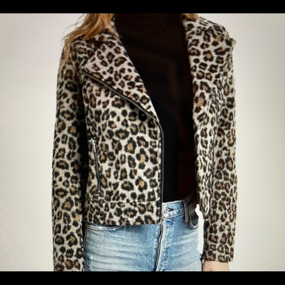 Cupcakes and Cashmere Moto Jacket - Picture 1 of 3